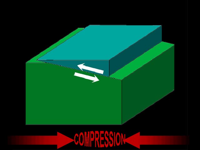 Thrust Fault